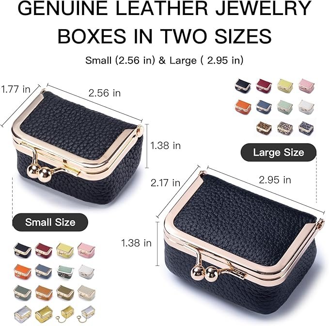 Royal Bagger Genuine Cow Leather Mini Jewelry Box Women's Coin Purse Solid Color Kiss Lock Change Pouch Casual Style Small Storage Bag for Women 1894 (New Black1)