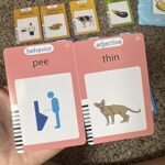 Airbition 510 Words, Talking Flash Cards for Toddler 1 2 3 4 Year Olds, Language Learning Toys, Pocket Speech Therapy Toys, Montessori Tools with 31 Themes, Children's Sensory Device photo review