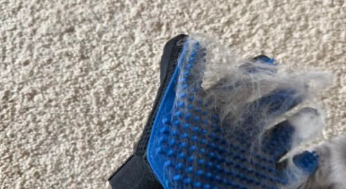Upgrade Efficient Pet Hair Remover Gloves - Gentle Shedding Brushes for Dogs, Cats & Horses with Long and Short Hair - 1 Pair (Blue) photo review