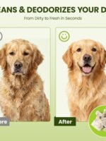 Hypoallergenic Pet Wipes for Dogs & Cats – Quick Clean & Deodorize Paws, Butt, Eyes, Ears, Face & Fur | Daily Grooming After Walks and Between Baths | Extra Large & Thick | Coconut Scented, 400 Count